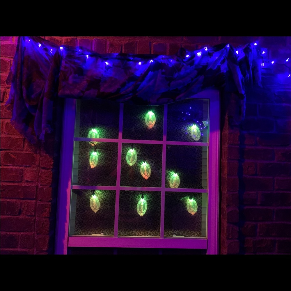 Disney Multicolor Haunted Mansion String Lights